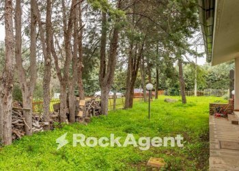 Giardino - Villa via Pedali della Murgia, 39, Toritto - foto 2
