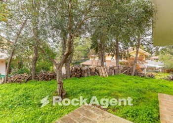 Giardino - Villa via Pedali della Murgia, 39, Toritto - foto 33