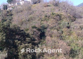 Terreno - Terreno agricolo via Ettore Vitale, Catanzaro - foto 30