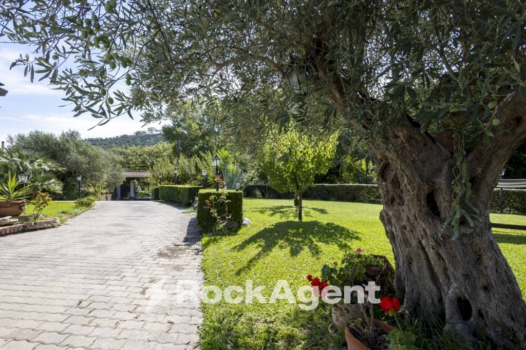 Giardino - Villa contrada Zaccano, Caraffa di Catanzaro - foto 2