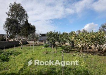 Terreno - Villa via Mesagne, San Donaci - foto 27