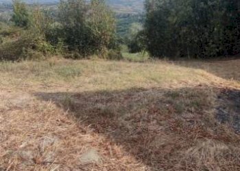 Terreno - Rustic Civitaquana - photo 13