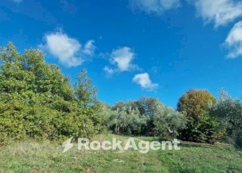 Terreno - Villa via Palmente, 42, Rogliano - foto 17