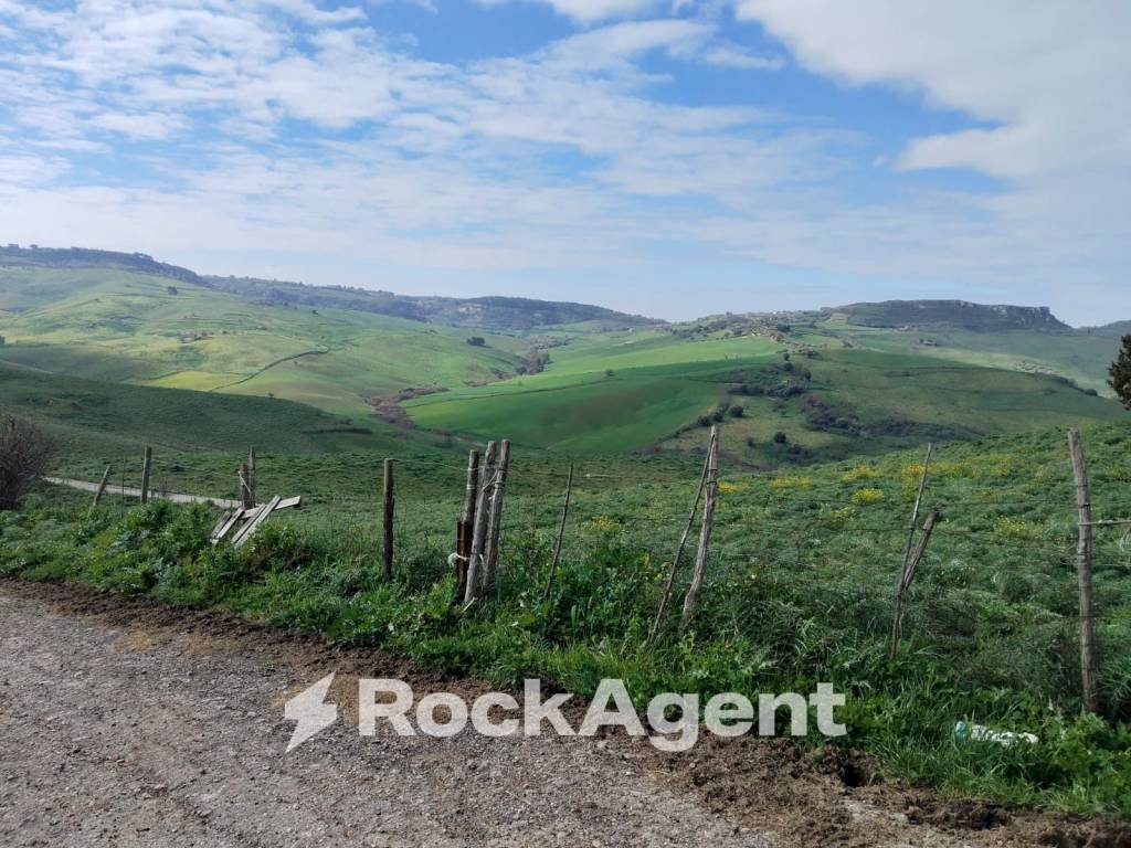 Terreno - Terreno agricolo Contrade Carminello e Catena, Calascibetta - foto 1