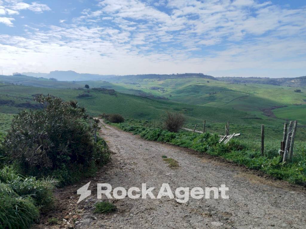 Terreno - Terreno agricolo Contrade Carminello e Catena, Calascibetta - foto 2