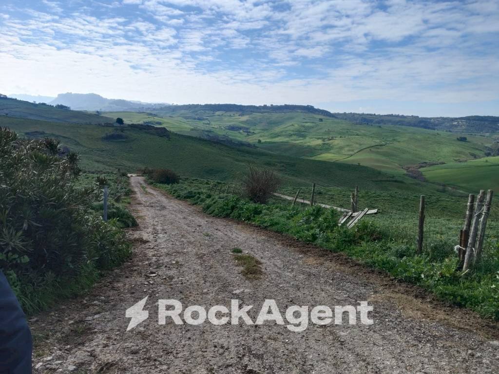 Terreno - Terreno agricolo Contrade Carminello e Catena, Calascibetta - foto 3