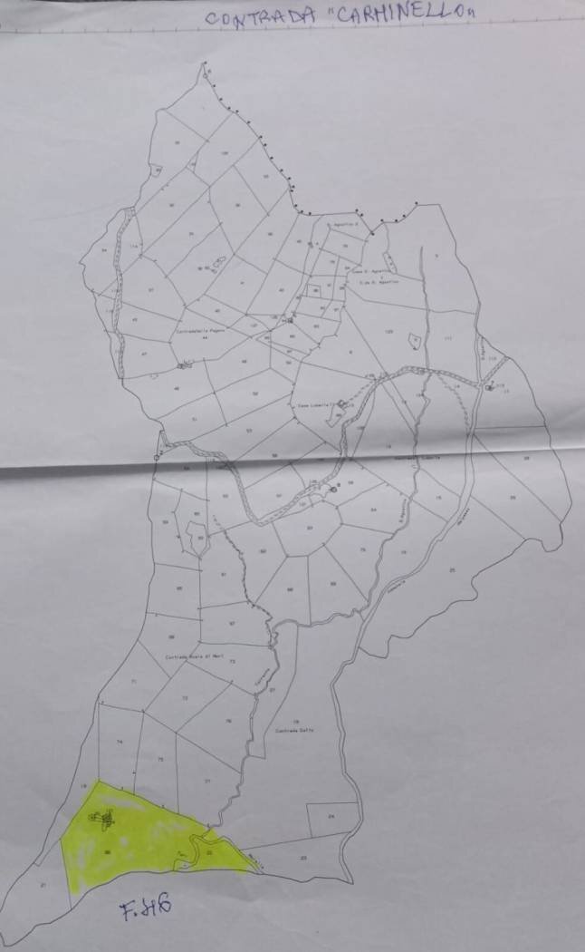 Terreno agricolo Contrade Carminello e Catena, Calascibetta - planimetria 1