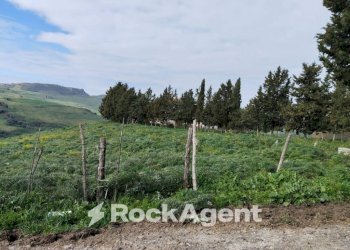 Terreno - Terreno agricolo Contrade Carminello e Catena, Calascibetta - foto 8