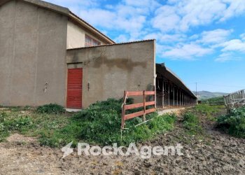 Terreno - Terreno agricolo Contrade Carminello e Catena, Calascibetta - foto 9