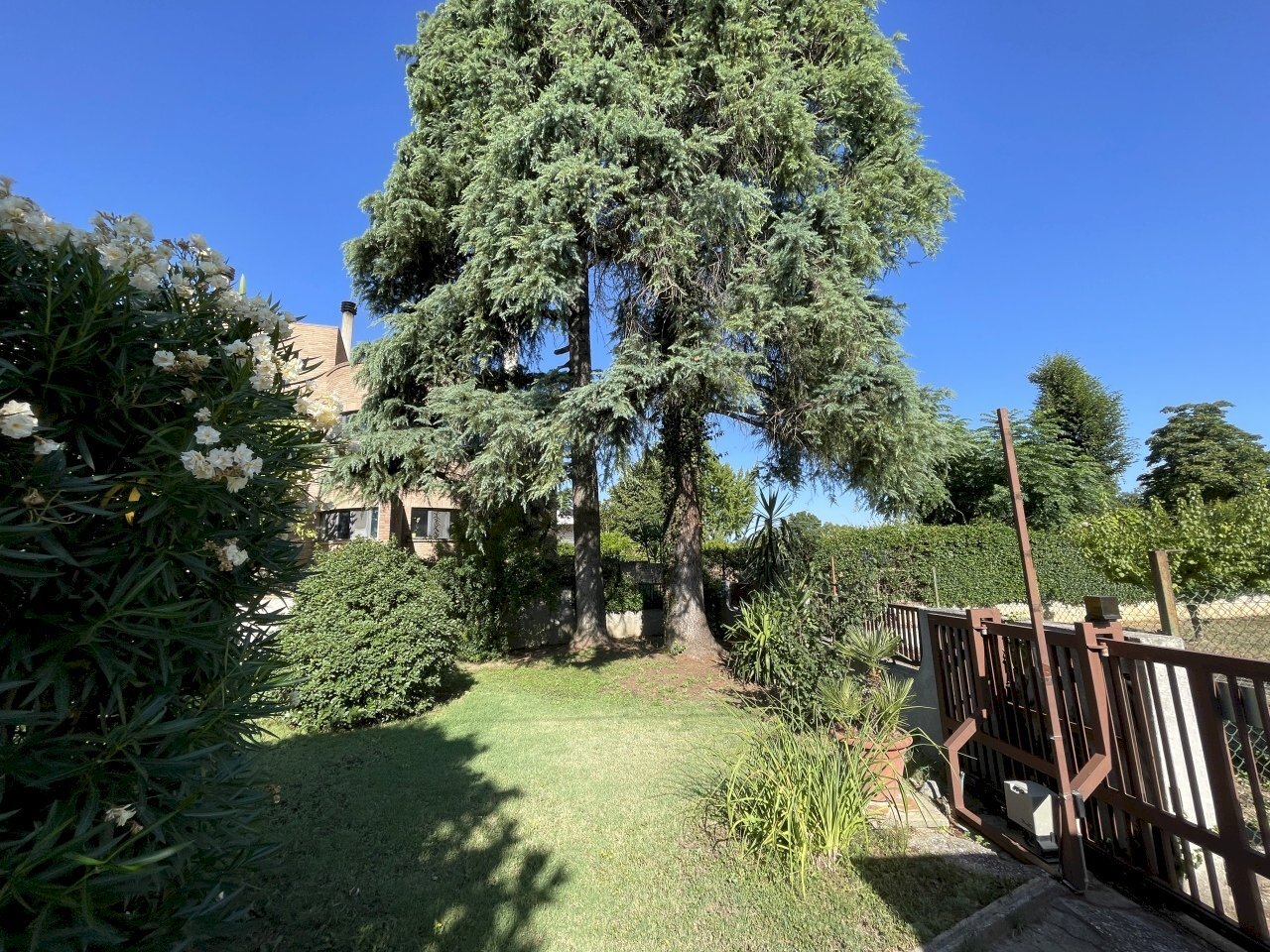 giardino - Villa Via Sibilla Aleramo 6, Cepagatti - foto 3