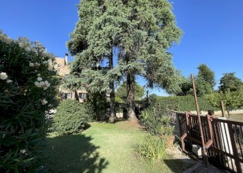 giardino - Villa Via Sibilla Aleramo 6, Cepagatti - foto 3