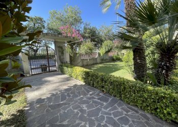 giardino - Villa Via Sibilla Aleramo 6, Cepagatti - foto 11