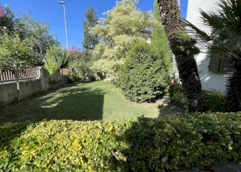 giardino - Villa Via Sibilla Aleramo 6, Cepagatti - foto 12