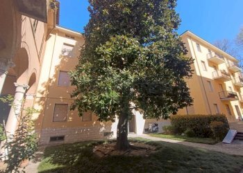 WhatsApp Image 2026-03-30 at 14.34.11.jpeg - Two-room apartment Via Gaspare Aselli, Cremona - photo 9