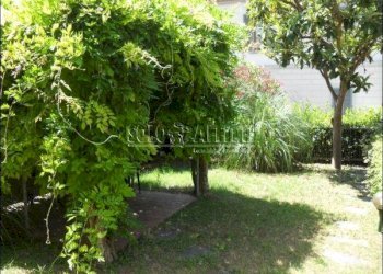 GIARDINO - Appartamento Sesto Fiorentino - foto 3