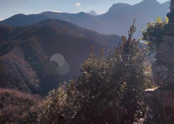 5dc92c2d-ad20-403b-950d-b995e7ce45d9.jpg - Rustico Via Villaggio U.N.R.R.A. 8, Fosdinovo - foto 16