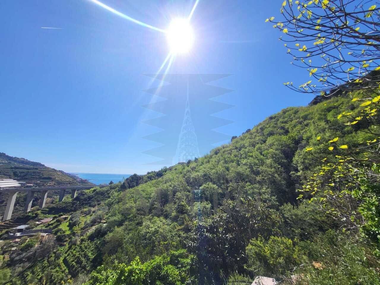 3.jpeg - Villa Via Felice Cascione, Ventimiglia - foto 3