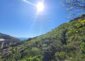 3.jpeg - Villa Via Felice Cascione, Ventimiglia - foto 3