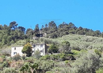 7.jpeg - Villa Via Felice Cascione, Ventimiglia - foto 7