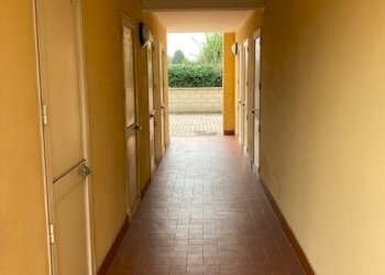 IMG_1709.jpg - Trilocale Cascina - foto 9