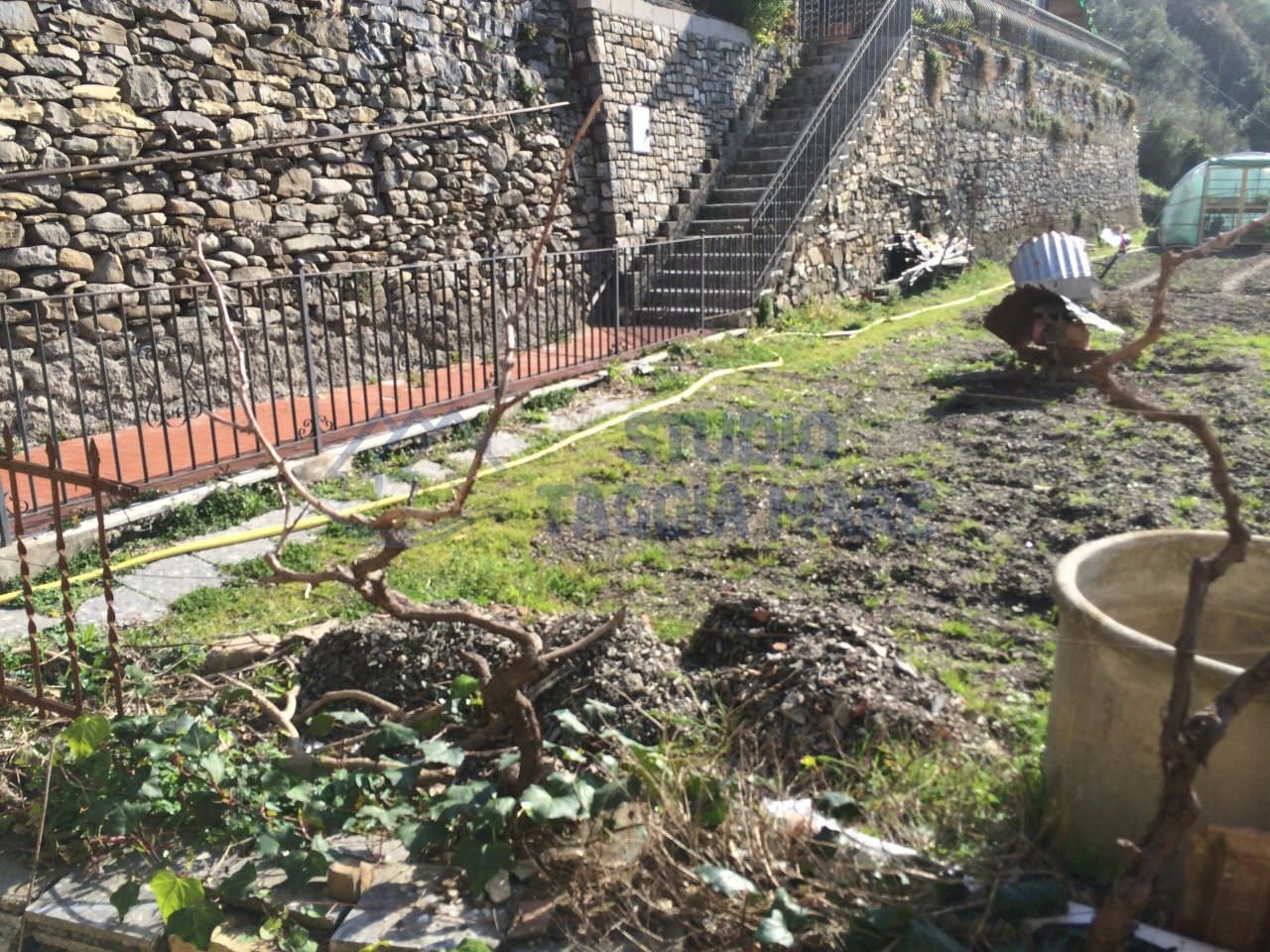 IMG_1454.JPG - Casa indipendente via Privata Nostra Signora della Neve, Badalucco - foto 2