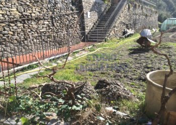 IMG_1454.JPG - Casa indipendente via Privata Nostra Signora della Neve, Badalucco - foto 2