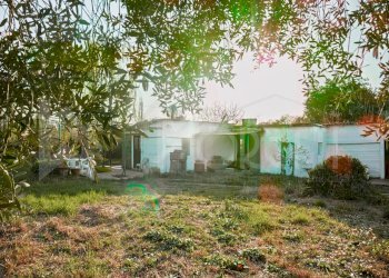 terreno - annesso - Magazzino Via delle Sorgenti, Livorno - foto 3