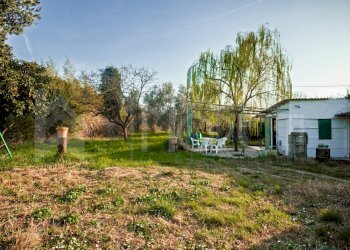 terreno - annesso - Magazzino Via delle Sorgenti, Livorno - foto 5