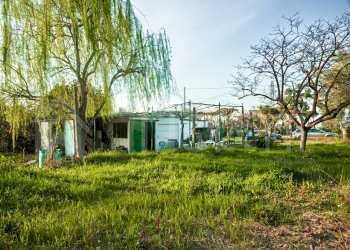 terreno - annesso - Magazzino Via delle Sorgenti, Livorno - foto 7