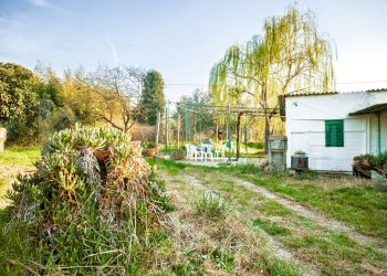 terreno - annesso - Terreno agricolo Via delle Sorgenti, Livorno - foto 4