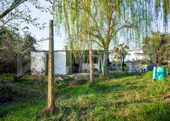 annesso - Terreno agricolo Via delle Sorgenti, Livorno - foto 8