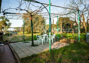 pergola - Terreno agricolo Via delle Sorgenti, Livorno - foto 14