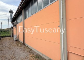 image00005.jpeg - Commercial Premises Via di Piaggiori 40, Capannori - photo 5