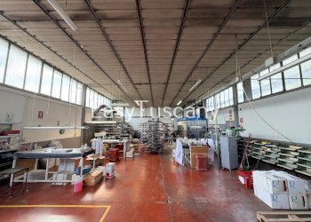 image00016.jpeg - Commercial Premises Via di Piaggiori 40, Capannori - photo 15