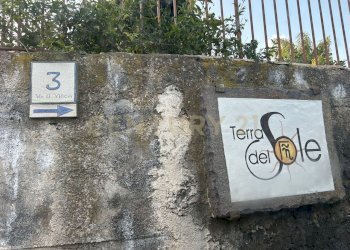 MADONNA DEGLI AMMALA1.jpeg - Terreno agricolo Via Giovanni Verga 1/A, Misterbianco - foto 3