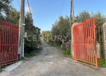MADONNA DEGLI AMMALA2.jpeg - Terreno agricolo Via Giovanni Verga 1/A, Misterbianco - foto 4