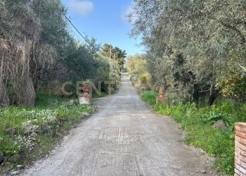MADONNA DEGLI AMMALA3.jpeg - Terreno agricolo Via Giovanni Verga 1/A, Misterbianco - foto 5