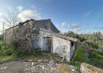 MADONNA DEGLI AMMALA10.jpeg - Terreno agricolo Via Giovanni Verga 1/A, Misterbianco - foto 11