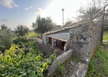 MADONNA DEGLI AMMALA11.jpeg - Terreno agricolo Via Giovanni Verga 1/A, Misterbianco - foto 12