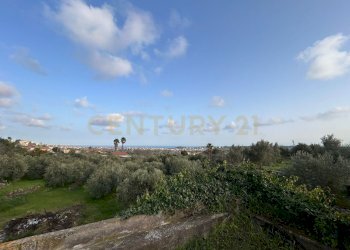 MADONNA DEGLI AMMALA13.jpeg - Terreno agricolo Via Giovanni Verga 1/A, Misterbianco - foto 14