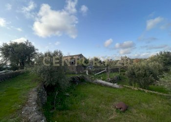 MADONNA DEGLI AMMALA14.jpeg - Terreno agricolo Via Giovanni Verga 1/A, Misterbianco - foto 15