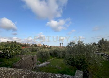 MADONNA DEGLI AMMALA16.jpeg - Terreno agricolo Via Giovanni Verga 1/A, Misterbianco - foto 17