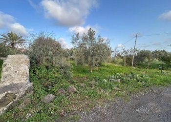 MADONNA DEGLI AMMALA20.jpeg - Terreno agricolo Via Giovanni Verga 1/A, Misterbianco - foto 21