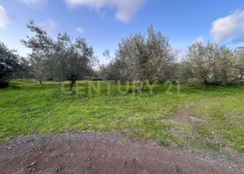 MADONNA DEGLI AMMALA21.jpeg - Terreno agricolo Via Giovanni Verga 1/A, Misterbianco - foto 22