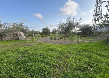 MADONNA DEGLI AMMALA22.jpeg - Terreno agricolo Via Giovanni Verga 1/A, Misterbianco - foto 23