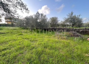 MADONNA DEGLI AMMALA23.jpeg - Terreno agricolo Via Giovanni Verga 1/A, Misterbianco - foto 24