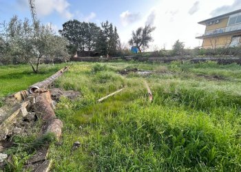 MADONNA DEGLI AMMALA26.jpeg - Terreno agricolo Via Giovanni Verga 1/A, Misterbianco - foto 27