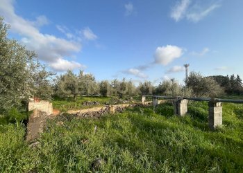 MADONNA DEGLI AMMALA27.jpeg - Terreno agricolo Via Giovanni Verga 1/A, Misterbianco - foto 28