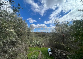 CAMPOROTONDO5.jpeg - Terreno edificabile Viale Giovanni Falcone 9, Camporotondo Etneo - foto 3