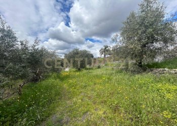 CAMPOROTONDO8.jpeg - Terreno edificabile Viale Giovanni Falcone 9, Camporotondo Etneo - foto 9